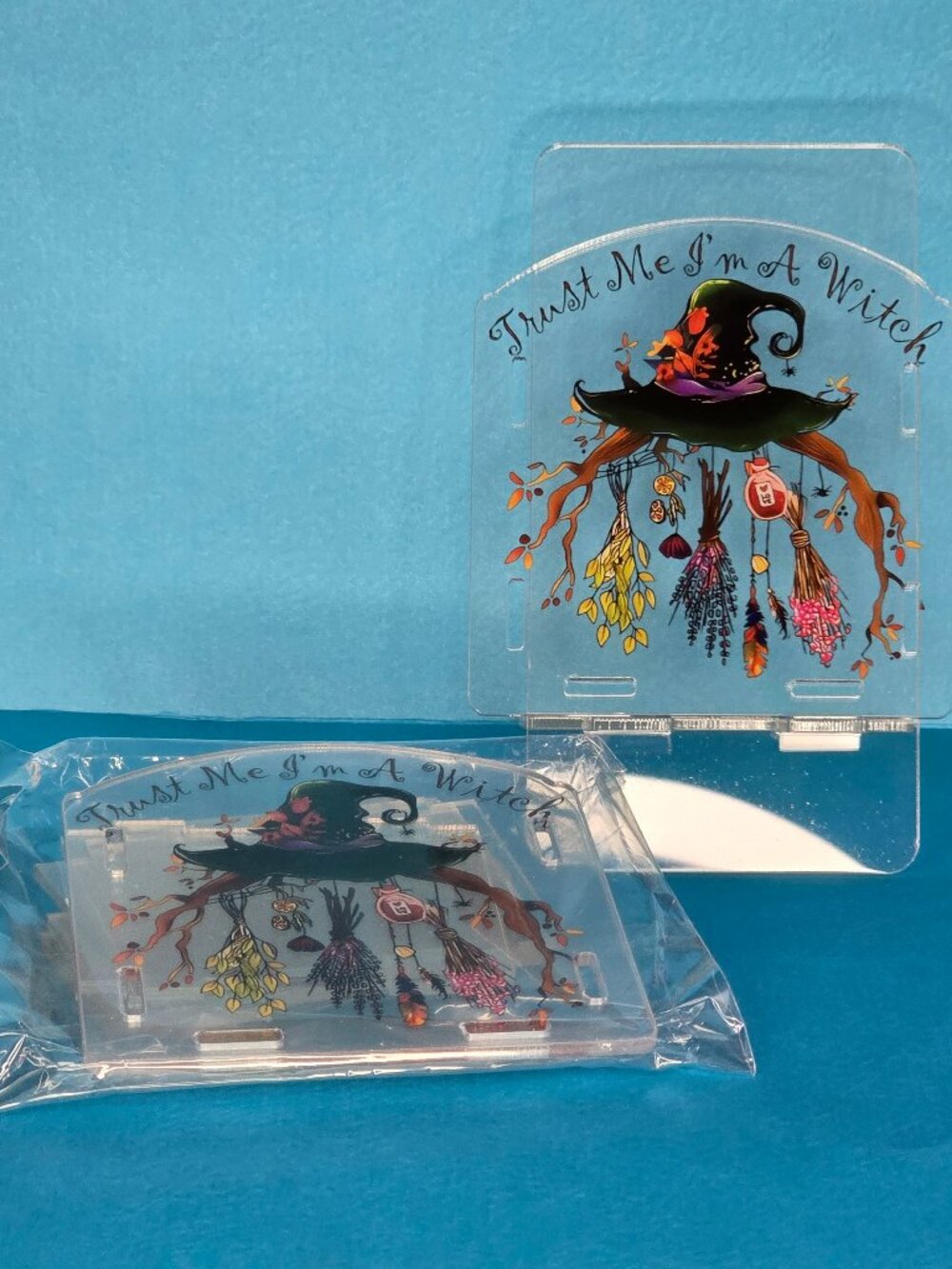 Acrylic Pen Holder, "Im a witch"